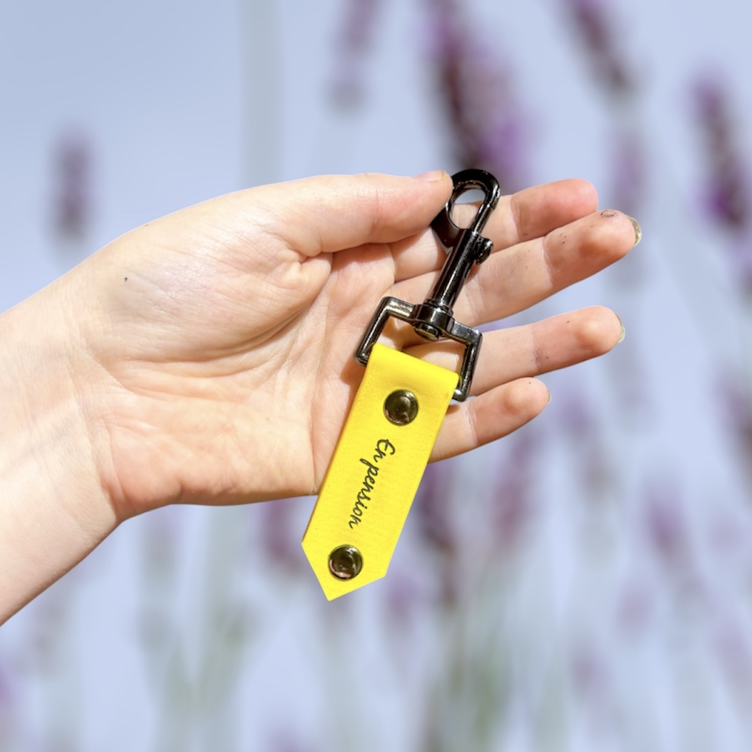 Medaille clip’n’go