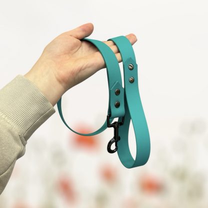 Laisse courte biothane