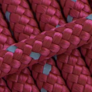 Framboise réfléchissant